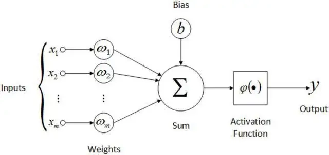 weight and bias in the neural  network